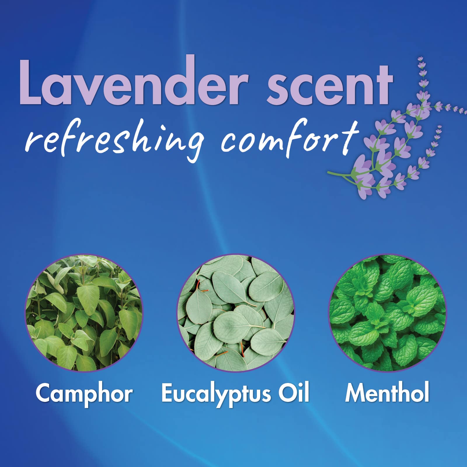 HealthWise Medicated Lavender Scented Chest Rub - Image 3