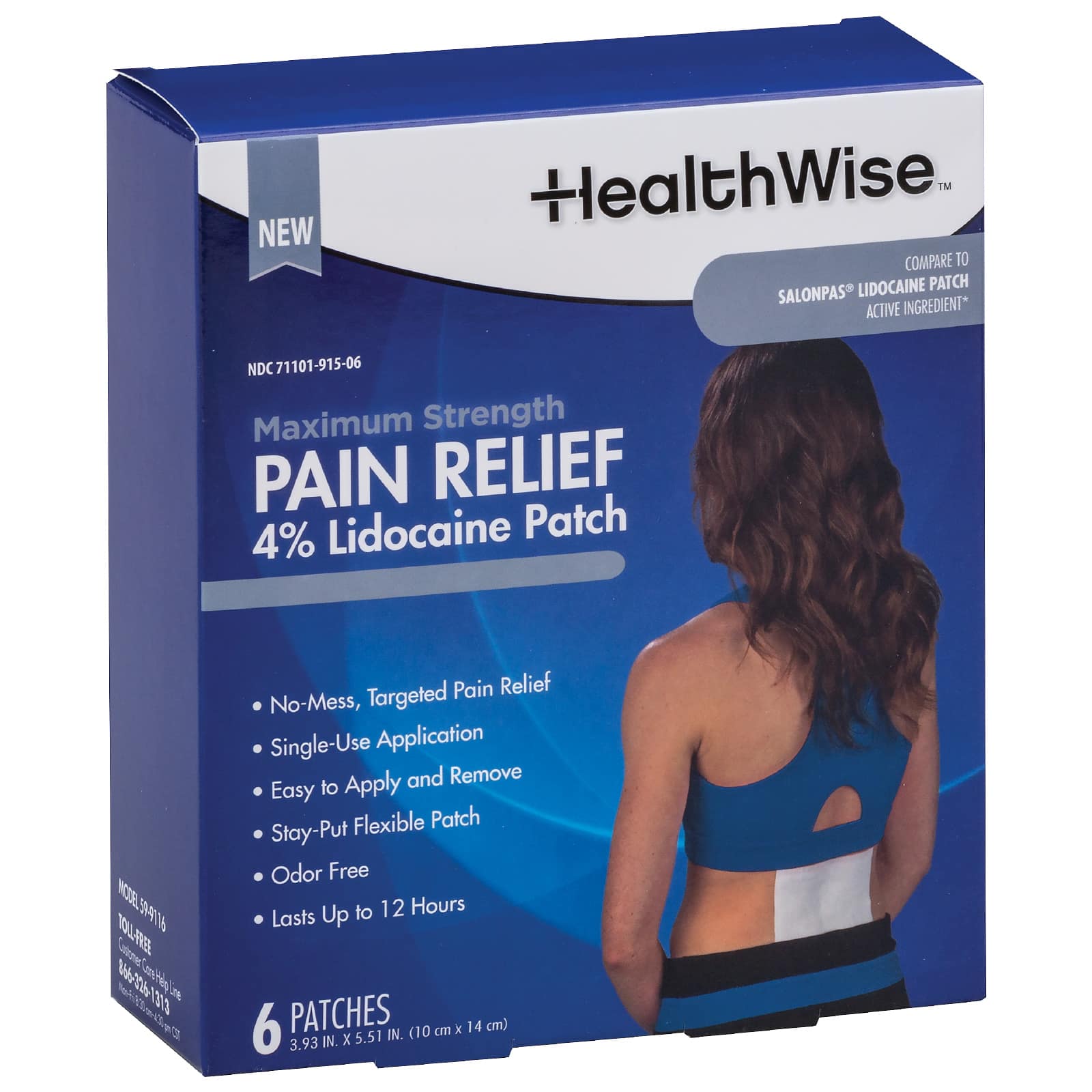 HealthWise Maximum Strength Pain Relief Patch 6 Count