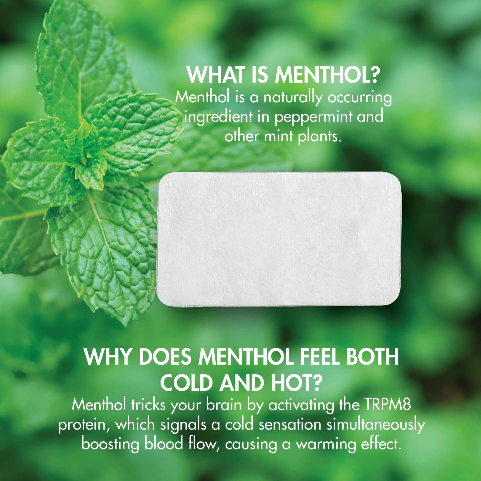 HealthWise Menthol Pain Relief Patch 12-Count - Image 9
