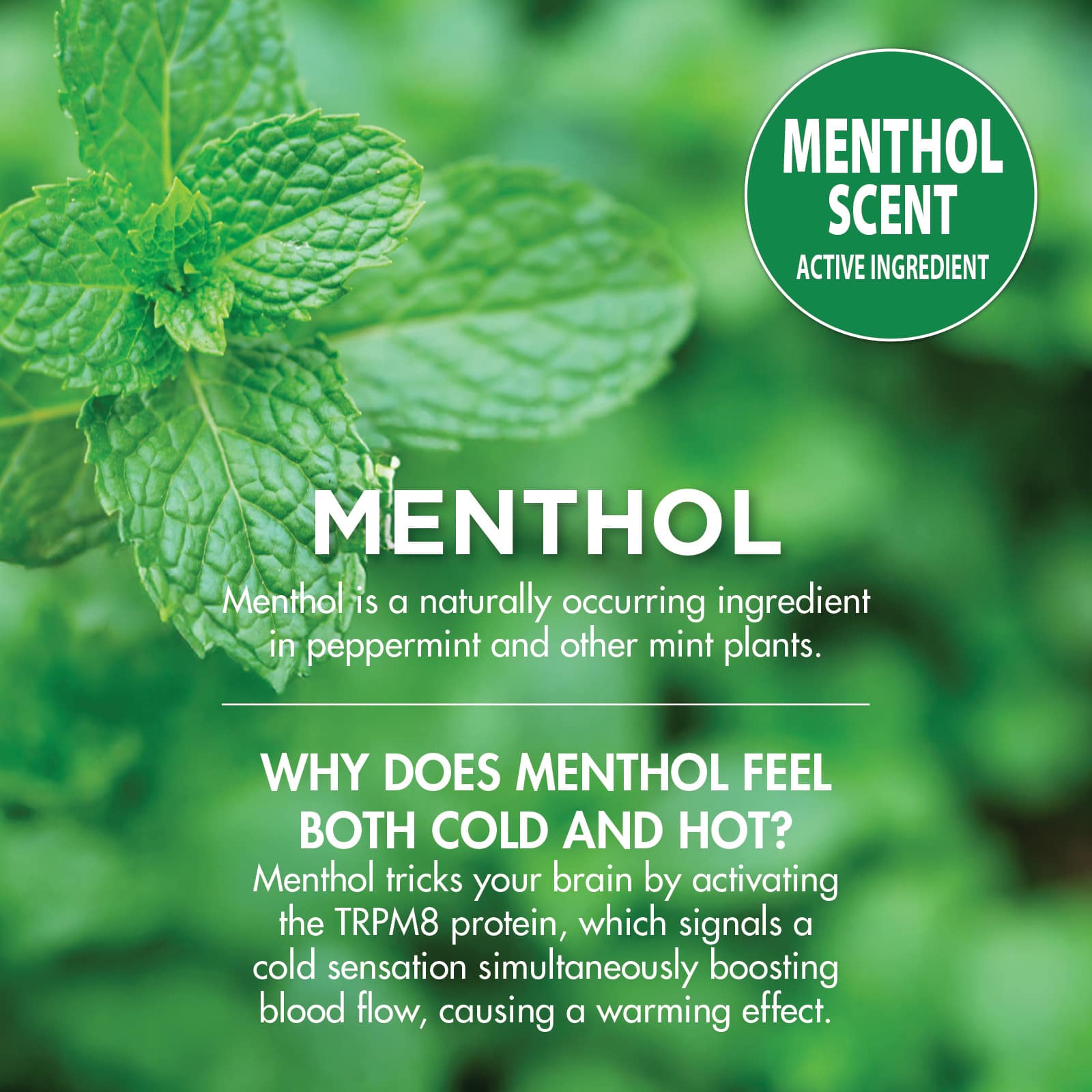 HealthWise Cold Hot Menthol Pain Relief Spray - Image 8