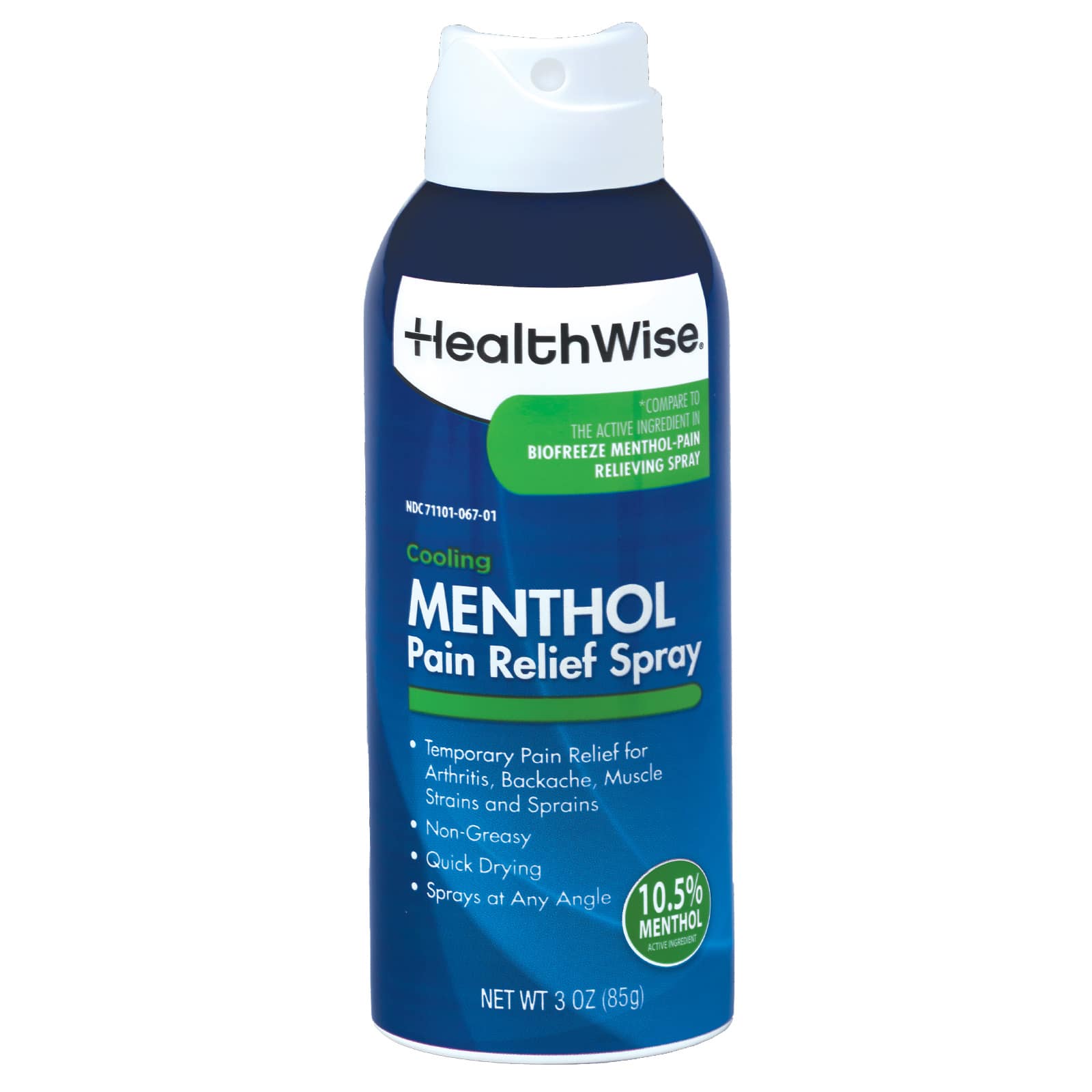 HealthWise Cold Hot Menthol Pain Relief Spray