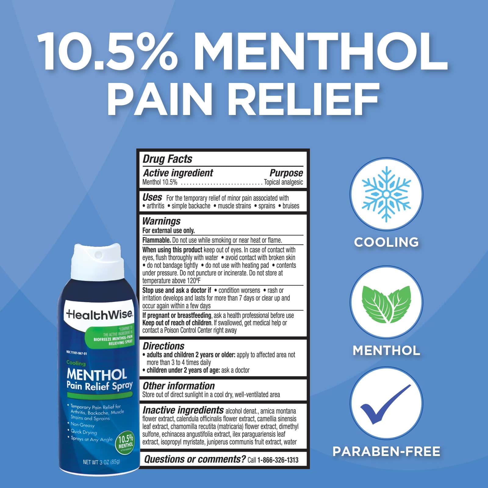 HealthWise Cold Hot Menthol Pain Relief Spray - Image 2