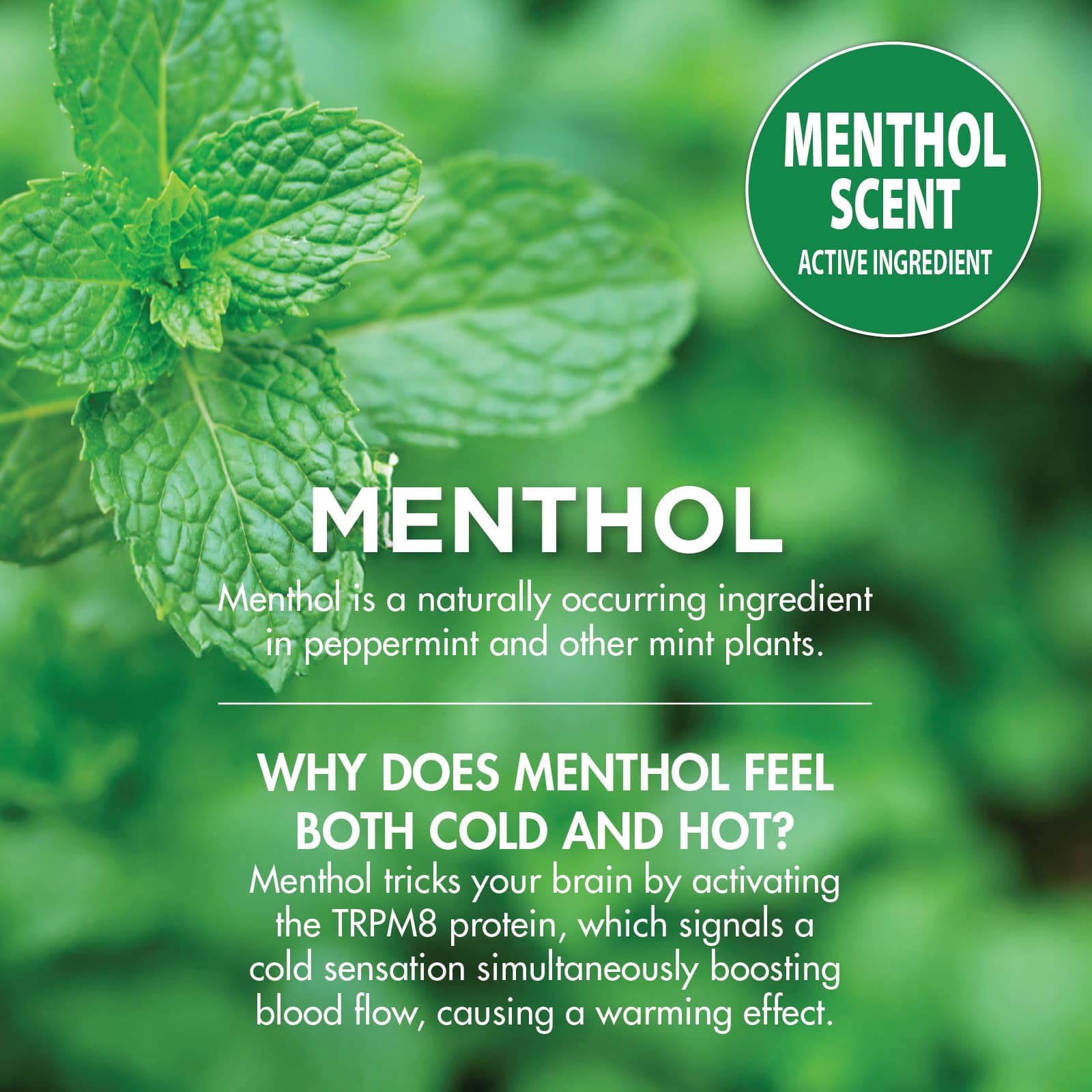 HealthWise Cold Hot Menthol Pain Relief Spray - Image 9