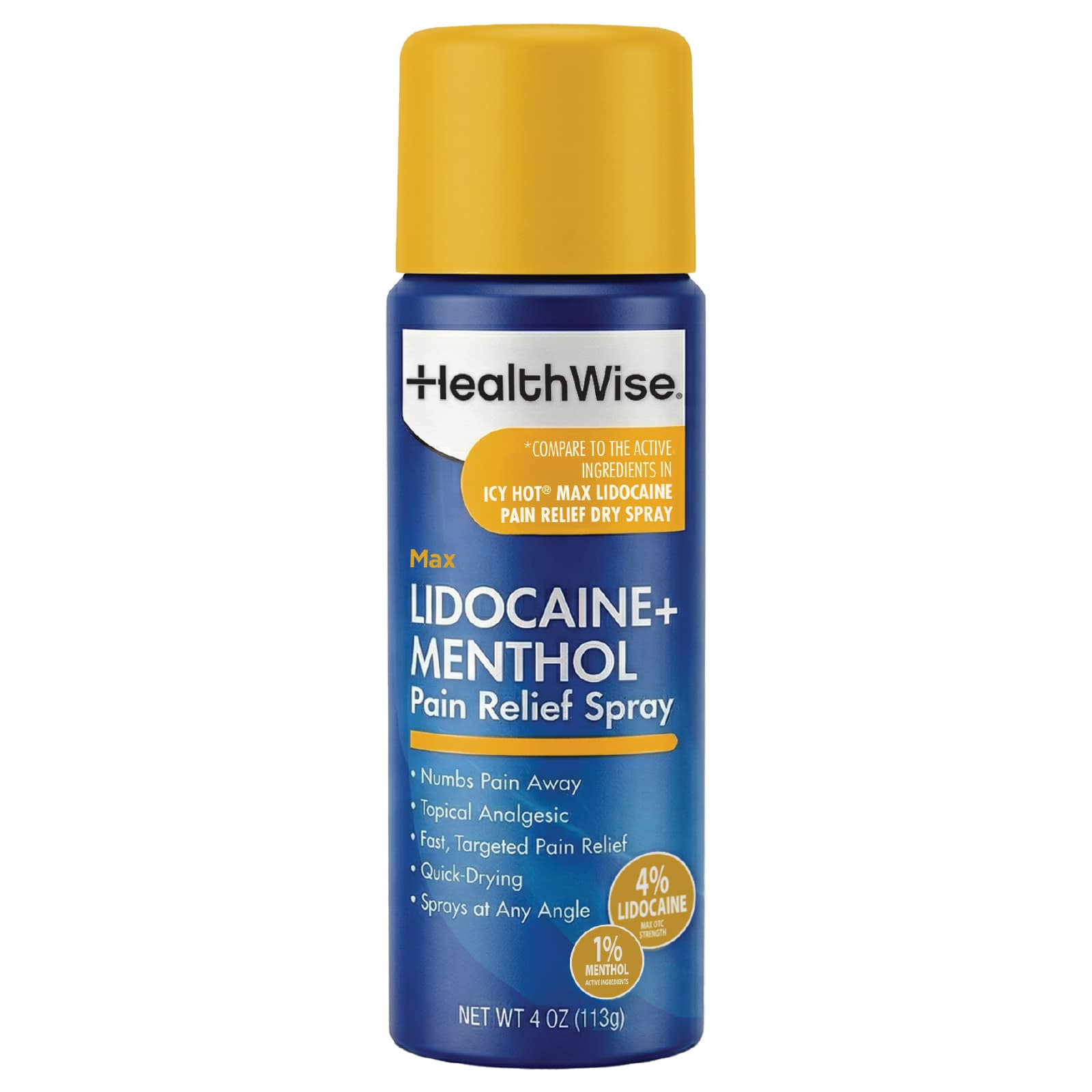 HealthWise Lidocaine + Menthol Pain Relief Spray