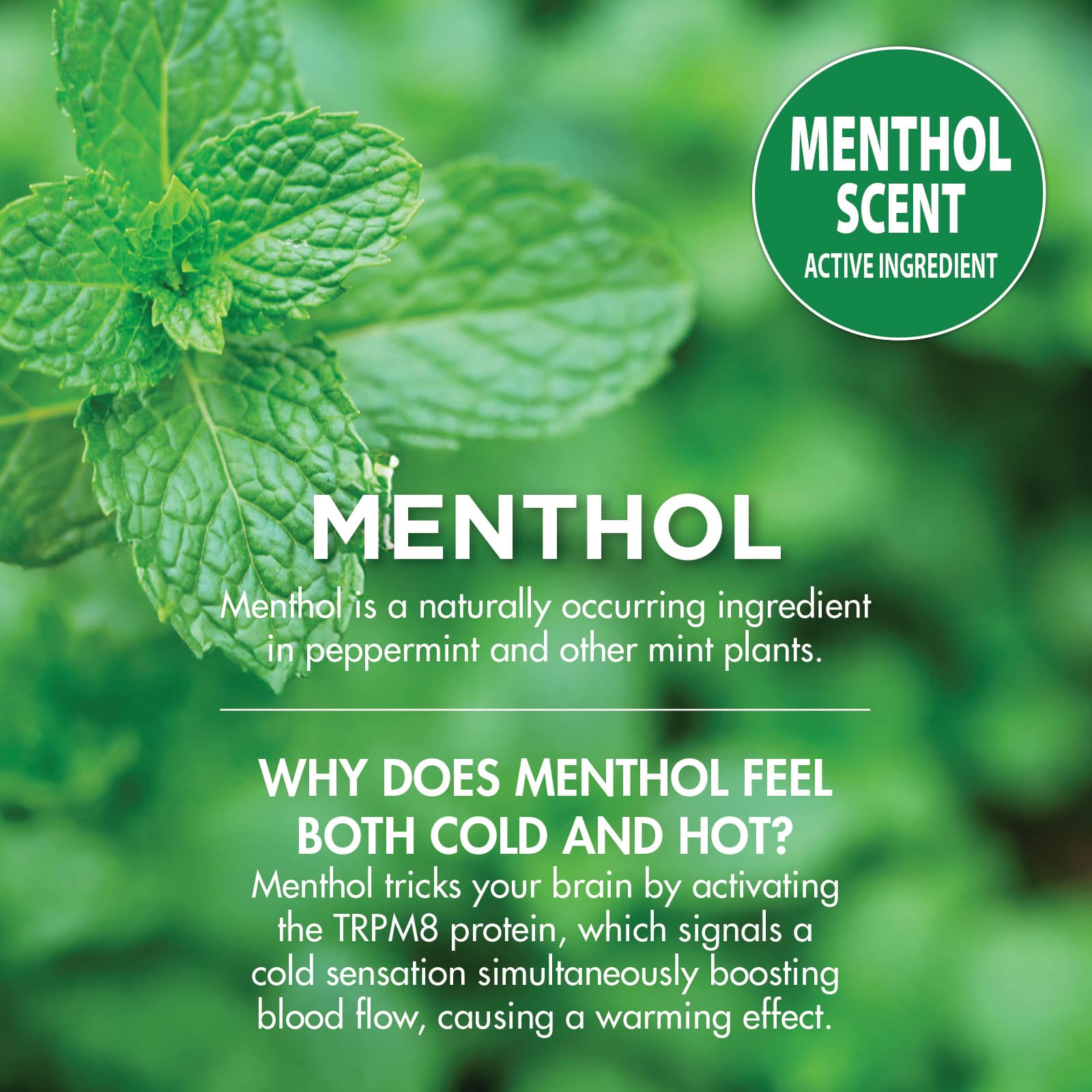 HealthWise Cold Hot 16% Menthol Pain Relief Spray - Image 9