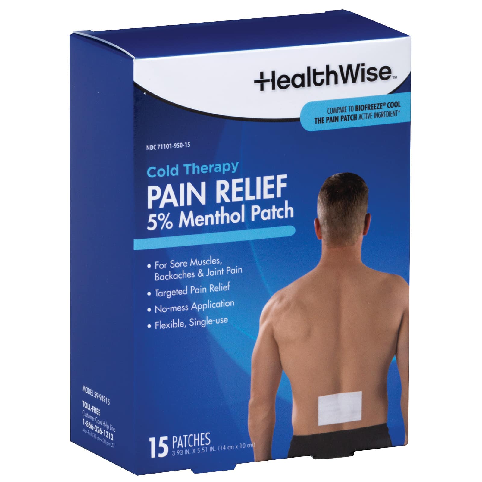 HealthWise Cold Therapy Menthol Pain Relief Patch Large 15-Count