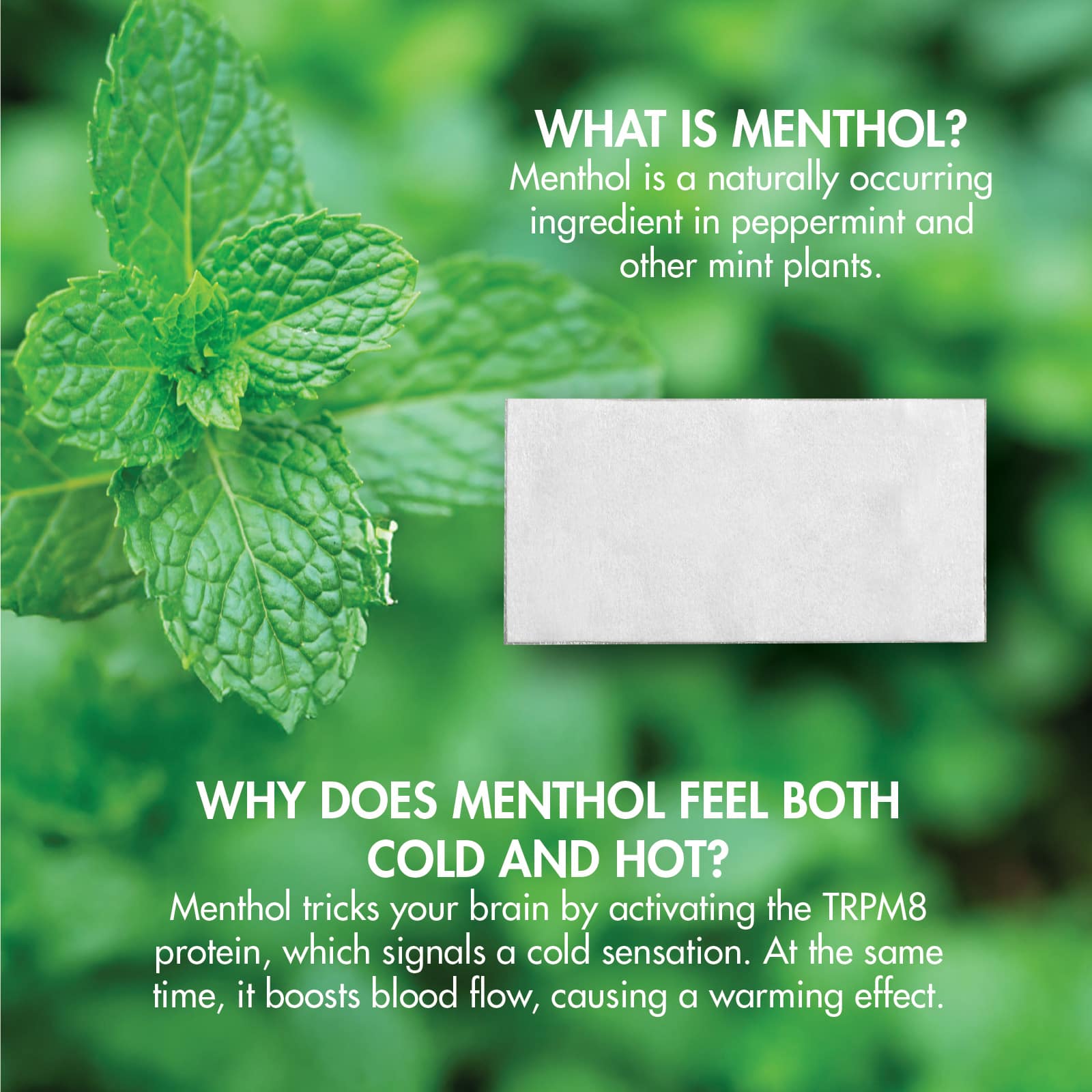 HealthWise Cold Hot Medicated Menthol Patch Large 25-Count - Image 5