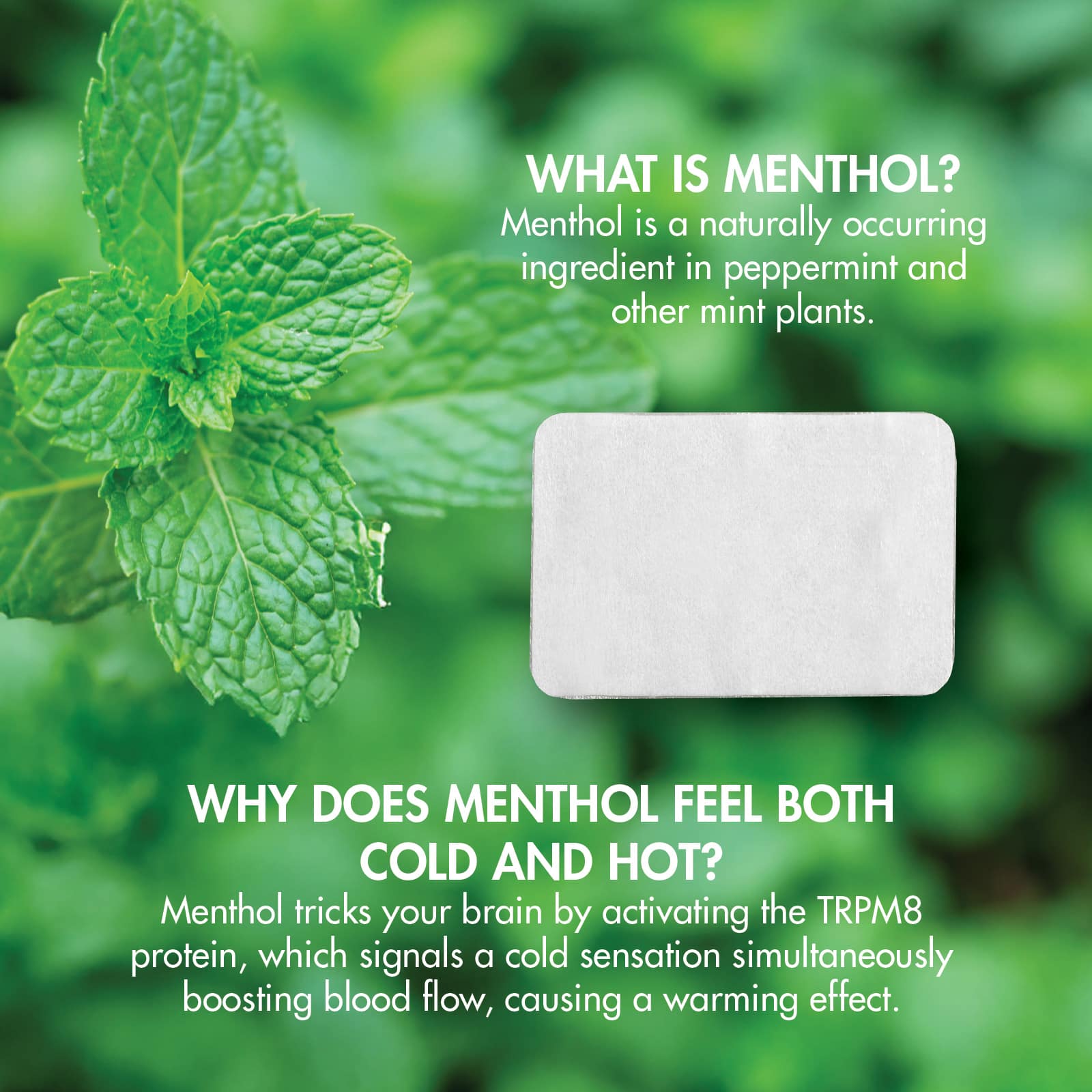 HealthWise Medicated Cold Hot 5% Menthol Patch 15-Count - Image 9