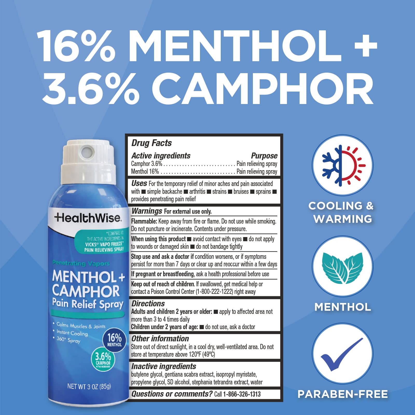 HealthWise Menthol+Camphor Pain Relief Spray - Image 2