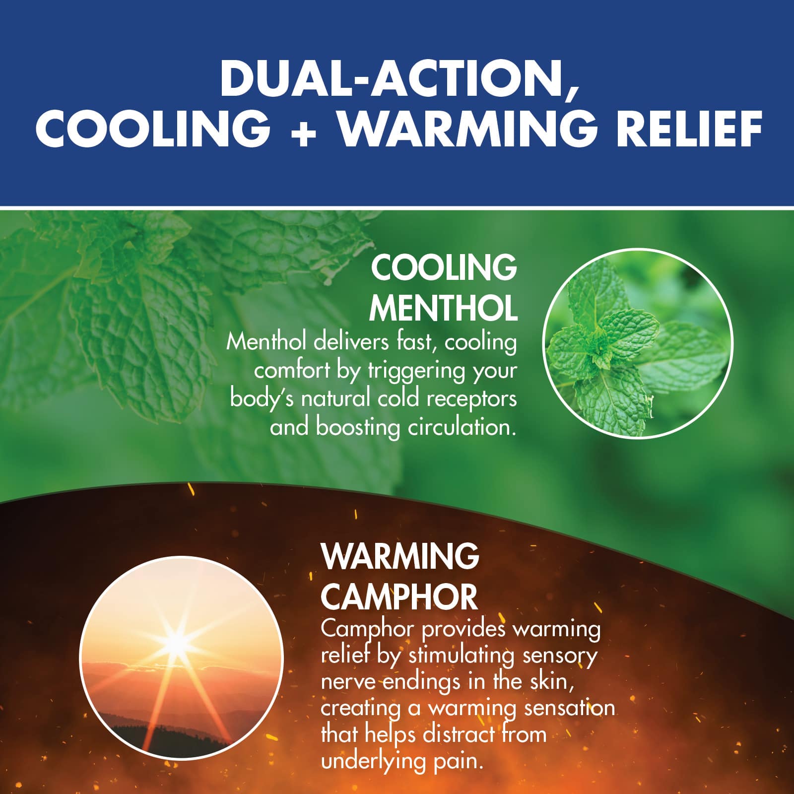 HealthWise Menthol+Camphor Pain Relief Spray - Image 9